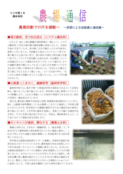 R3nojotusin01のサムネイル